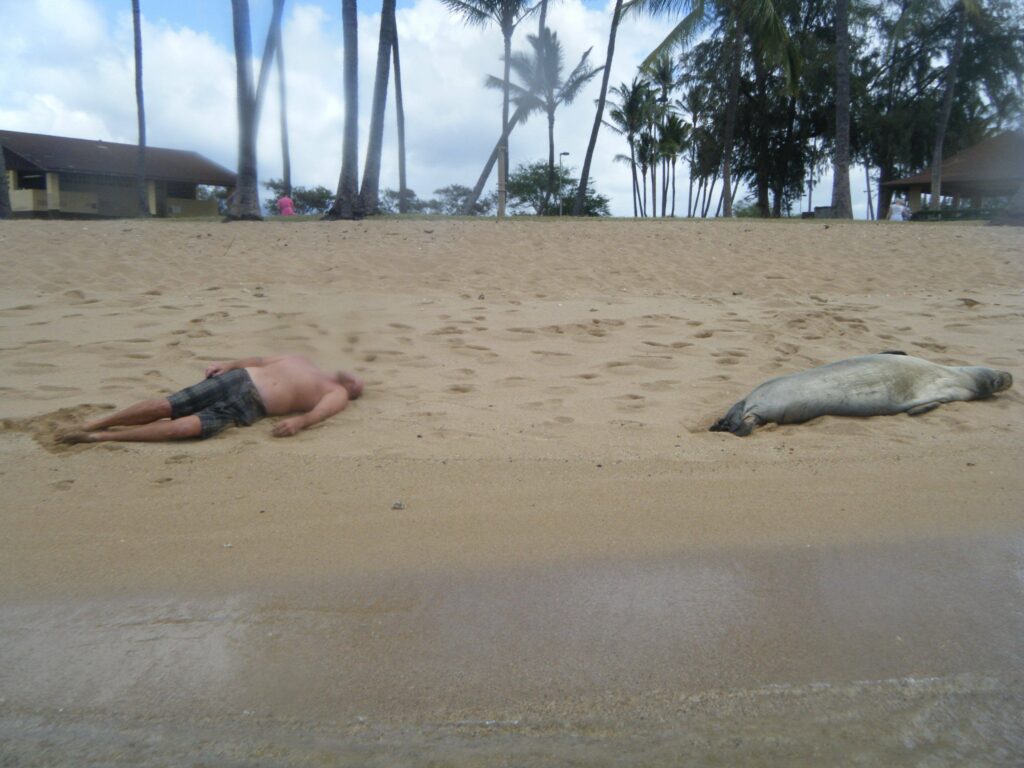 A man and a seal passed out on the beach.