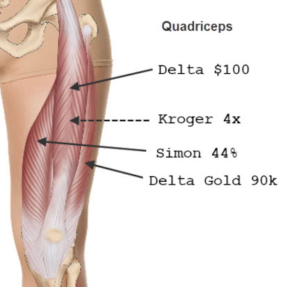 A picture of a human leg muscle group, with arrows pointing at the quadriceps muscles. The muscles are labeled as: Delta $100, Kroger 4x, Simon 44%, and Delta Gold 90k.