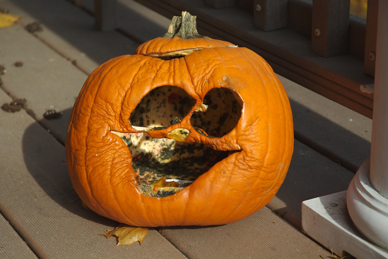 A shriveled-up, moldy, carved pumpkin